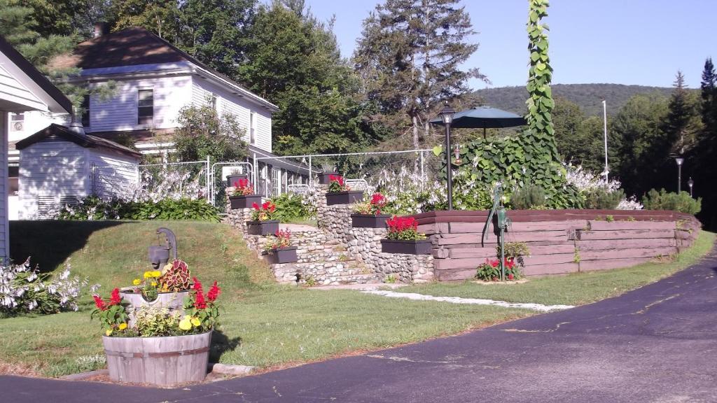 Profile Motel & Cottages Линкълн Екстериор снимка