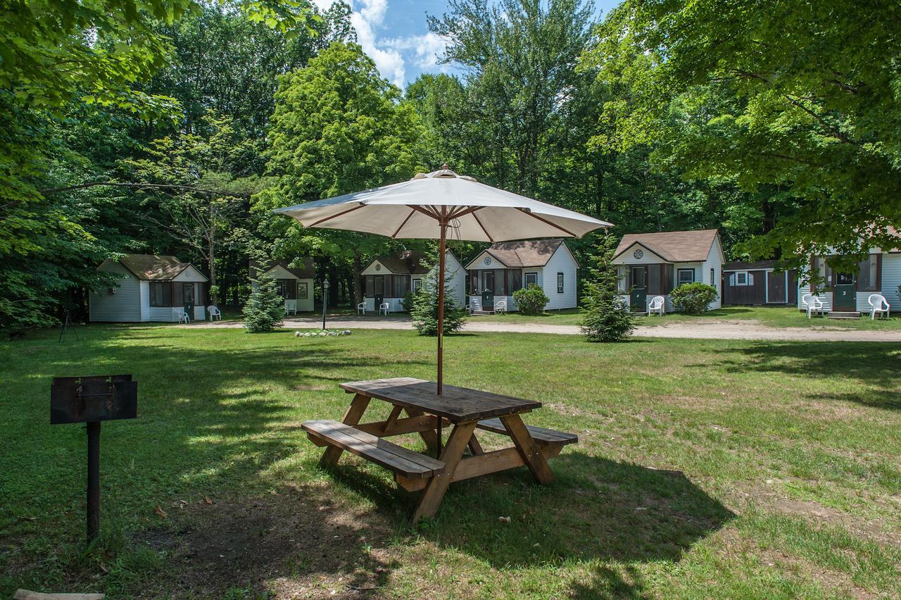 Profile Motel & Cottages Линкълн Екстериор снимка