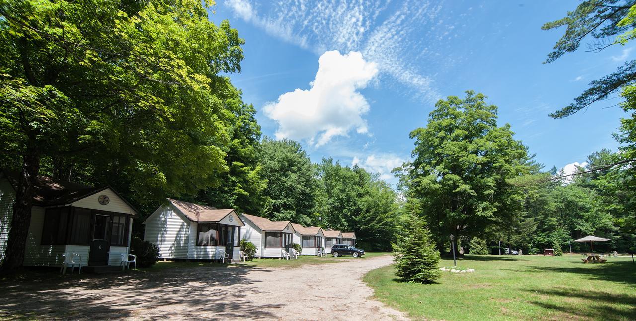 Profile Motel & Cottages Линкълн Екстериор снимка