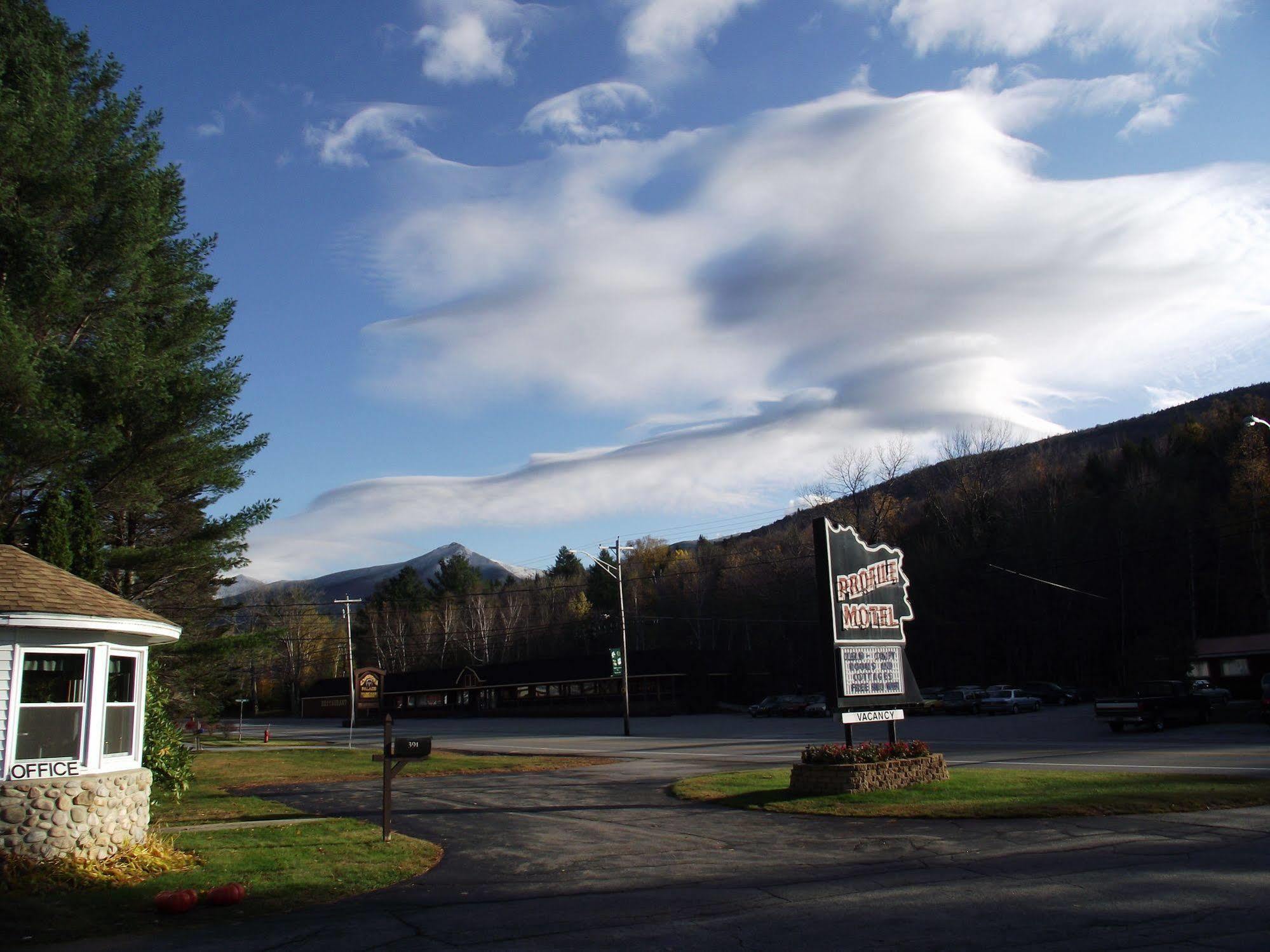 Profile Motel & Cottages Линкълн Екстериор снимка