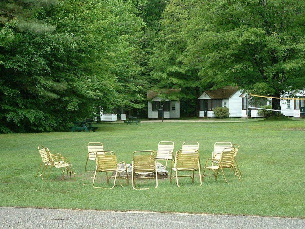 Profile Motel & Cottages Линкълн Екстериор снимка
