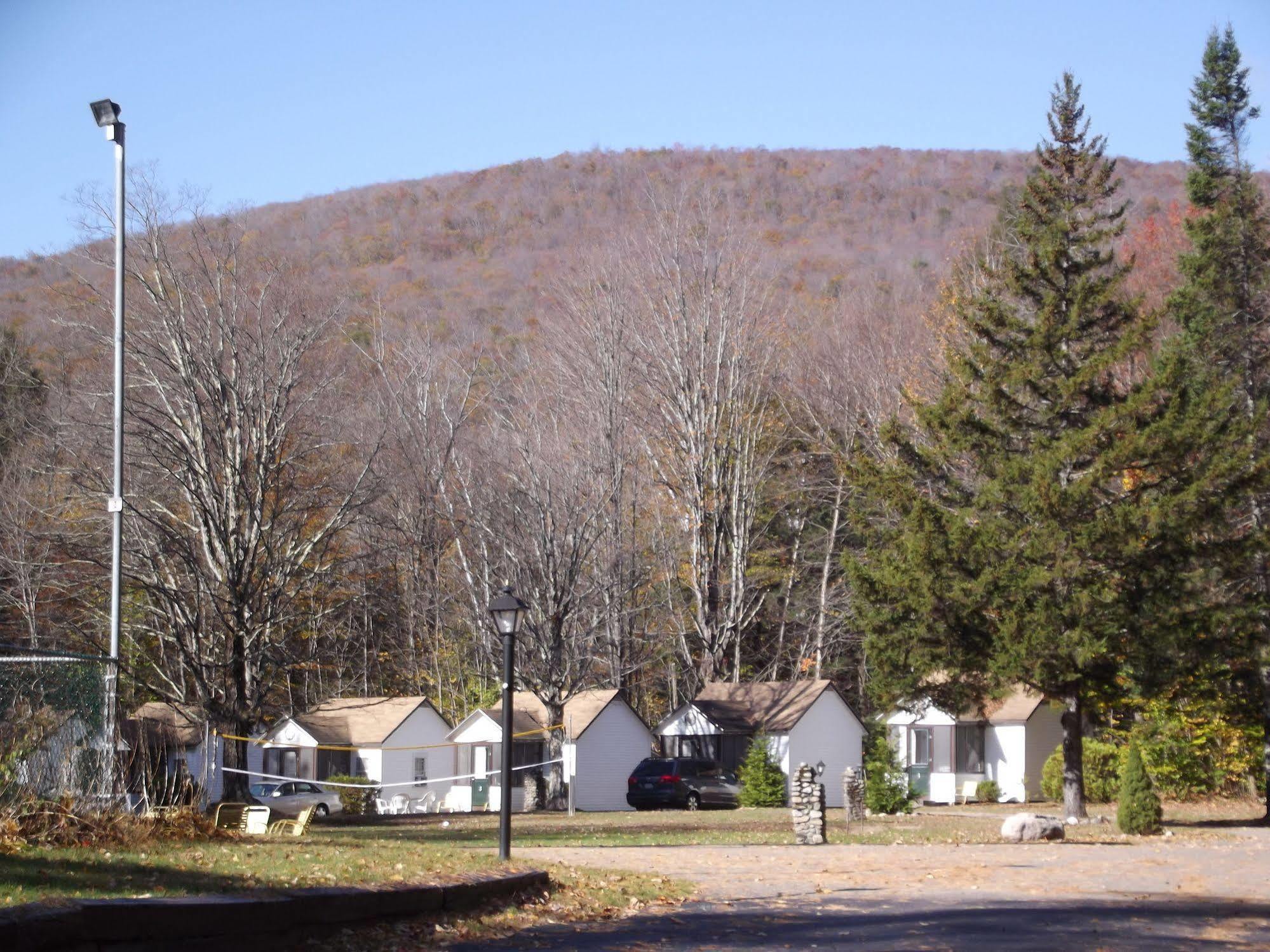 Profile Motel & Cottages Линкълн Екстериор снимка