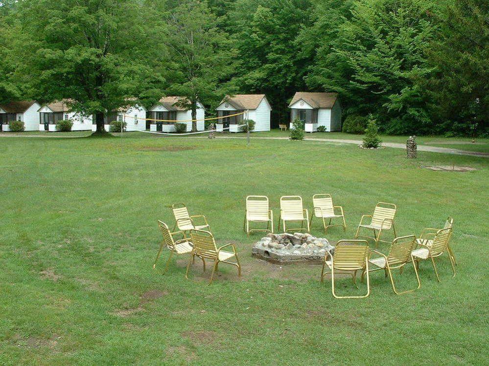 Profile Motel & Cottages Линкълн Екстериор снимка